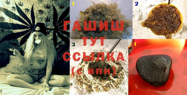 молекула духа Гусев