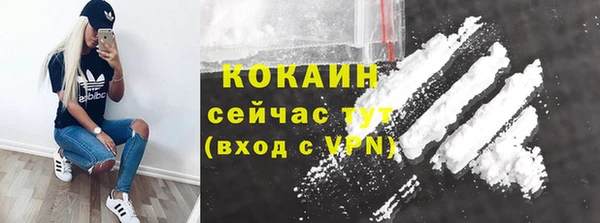 молекула духа Гусев