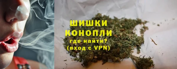 прущая мука Гусиноозёрск
