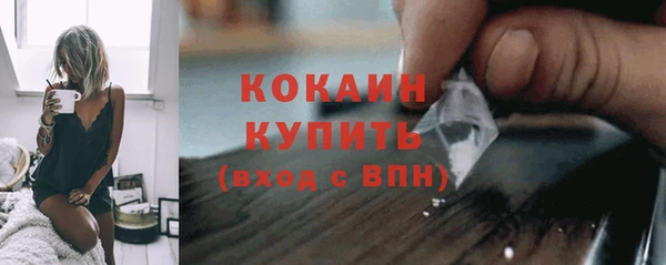 молекула духа Гусев