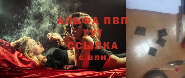 молекула духа Гусев