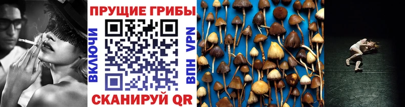 Псилоцибиновые грибы GOLDEN TEACHER  Купить  Моршанск 